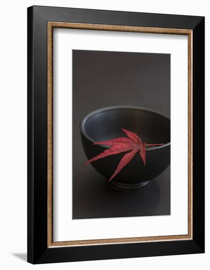 Still Life, Maple Leaf, Red, Bowl, Black, Still Life-Andrea Haase-Framed Photographic Print