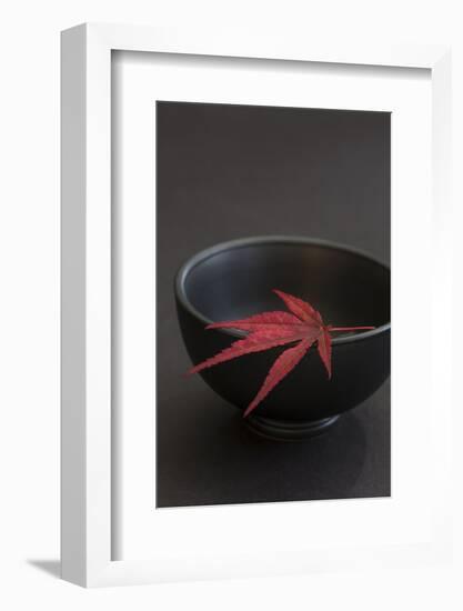 Still Life, Maple Leaf, Red, Bowl, Black, Still Life-Andrea Haase-Framed Photographic Print