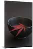 Still Life, Maple Leaf, Red, Bowl, Black, Still Life-Andrea Haase-Mounted Photographic Print