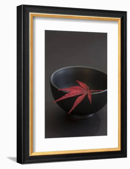 Still Life, Maple Leaf, Red, Bowl, Black, Still Life-Andrea Haase-Framed Photographic Print