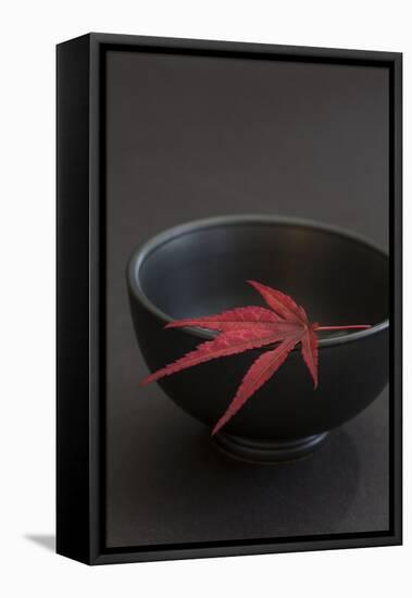 Still Life, Maple Leaf, Red, Bowl, Black, Still Life-Andrea Haase-Framed Premier Image Canvas