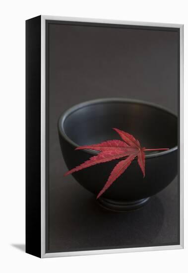 Still Life, Maple Leaf, Red, Bowl, Black, Still Life-Andrea Haase-Framed Premier Image Canvas