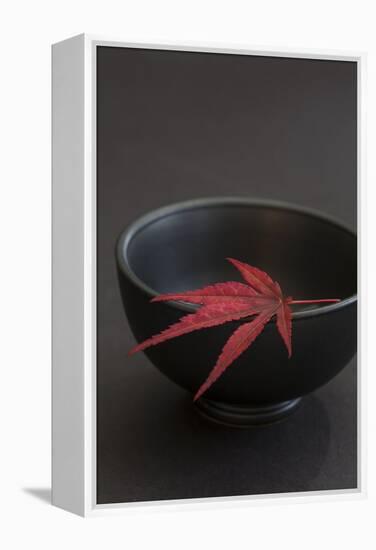 Still Life, Maple Leaf, Red, Bowl, Black, Still Life-Andrea Haase-Framed Premier Image Canvas