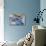 Still Life, Maritime, Blue, Flotsam and Jetsam, Starfish, Material, Text-Andrea Haase-Photographic Print displayed on a wall