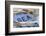 Still Life, Maritime, Blue, Flotsam, Starfish, Cloth, Lettering-Andrea Haase-Framed Photographic Print