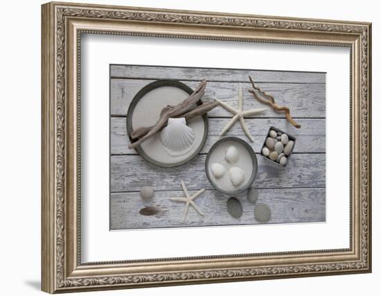 Still Life, Natural Materials, Seashells, Stones, Starfishes, Driftwood-Andrea Haase-Framed Photographic Print