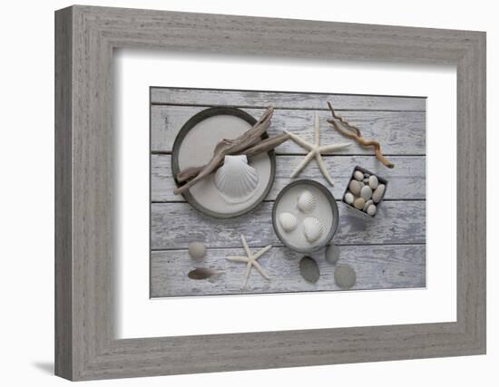 Still Life, Natural Materials, Seashells, Stones, Starfishes, Driftwood-Andrea Haase-Framed Photographic Print