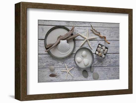 Still Life, Natural Materials, Seashells, Stones, Starfishes, Driftwood-Andrea Haase-Framed Photographic Print