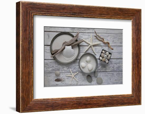 Still Life, Natural Materials, Seashells, Stones, Starfishes, Driftwood-Andrea Haase-Framed Photographic Print