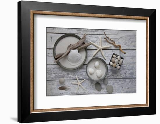 Still Life, Natural Materials, Seashells, Stones, Starfishes, Driftwood-Andrea Haase-Framed Photographic Print