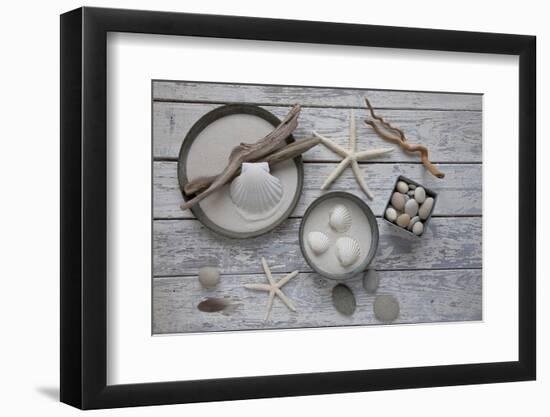 Still Life, Natural Materials, Seashells, Stones, Starfishes, Driftwood-Andrea Haase-Framed Photographic Print