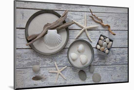 Still Life, Natural Materials, Seashells, Stones, Starfishes, Driftwood-Andrea Haase-Mounted Photographic Print