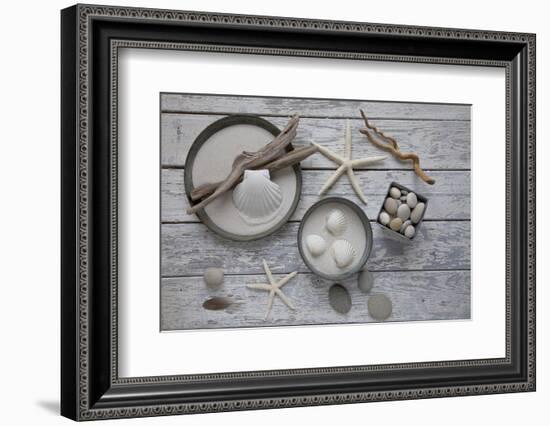 Still Life, Natural Materials, Seashells, Stones, Starfishes, Driftwood-Andrea Haase-Framed Photographic Print