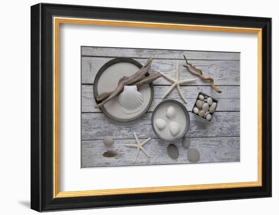 Still Life, Natural Materials, Seashells, Stones, Starfishes, Driftwood-Andrea Haase-Framed Photographic Print