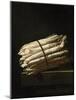 Still Life of Asparagus, 1699-Adrian Coorte-Mounted Giclee Print