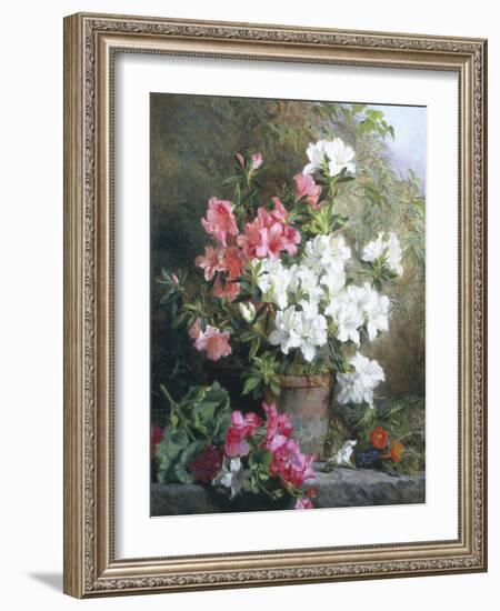 Still Life of Azaleas-Annie Feray Mutrie-Framed Giclee Print