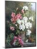 Still Life of Azaleas-Annie Feray Mutrie-Mounted Giclee Print