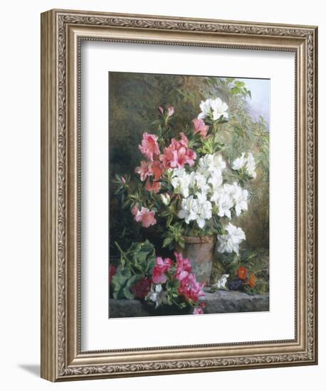 Still Life of Azaleas-Annie Feray Mutrie-Framed Giclee Print