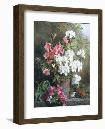 Still Life of Azaleas-Annie Feray Mutrie-Framed Giclee Print