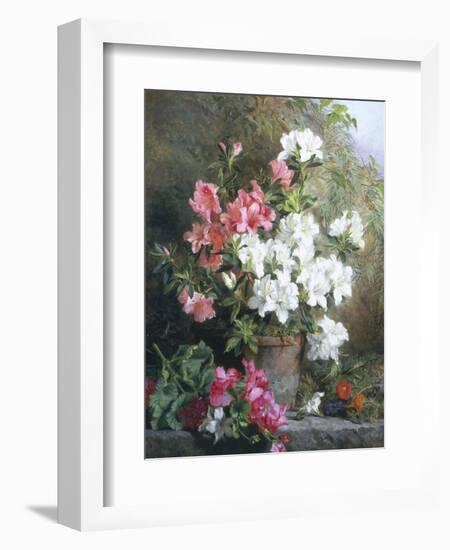 Still Life of Azaleas-Annie Feray Mutrie-Framed Giclee Print