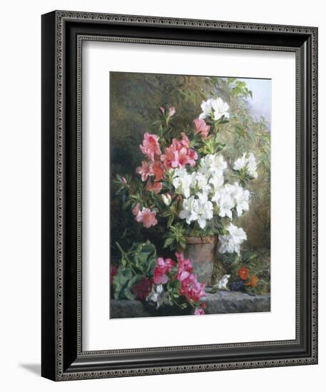 Still Life of Azaleas-Annie Feray Mutrie-Framed Giclee Print