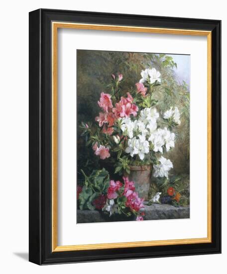 Still Life of Azaleas-Annie Feray Mutrie-Framed Giclee Print