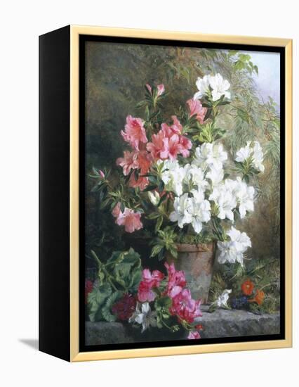 Still Life of Azaleas-Annie Feray Mutrie-Framed Premier Image Canvas