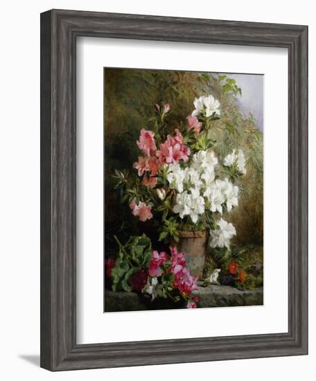 Still Life of Azaleas-Annie Feray Mutrie-Framed Giclee Print