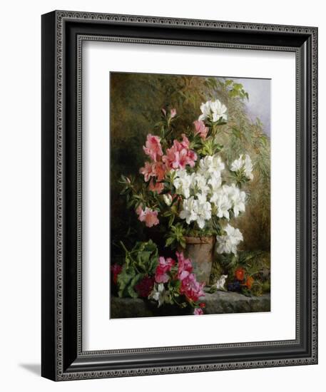 Still Life of Azaleas-Annie Feray Mutrie-Framed Giclee Print