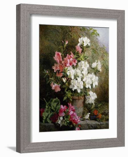 Still Life of Azaleas-Annie Feray Mutrie-Framed Giclee Print