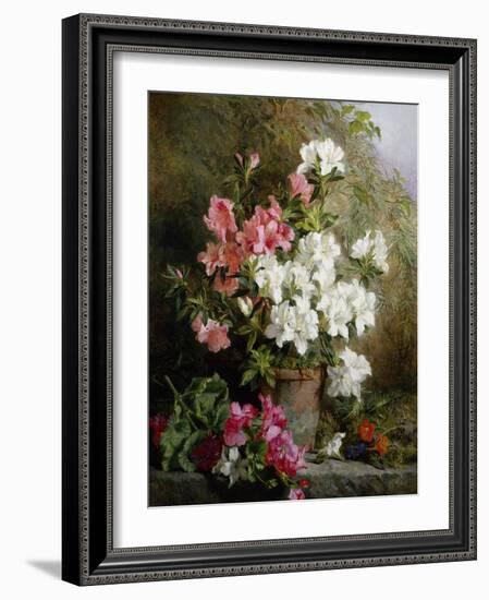 Still Life of Azaleas-Annie Feray Mutrie-Framed Giclee Print