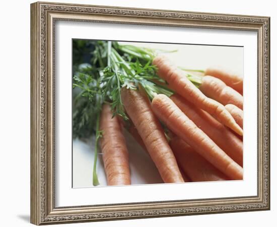 Still Life of Carrots-Lee Frost-Framed Photographic Print
