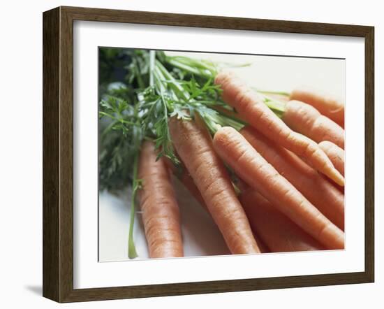 Still Life of Carrots-Lee Frost-Framed Photographic Print