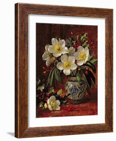 Still Life of Christmas Roses and Holly-Albert Williams-Framed Giclee Print