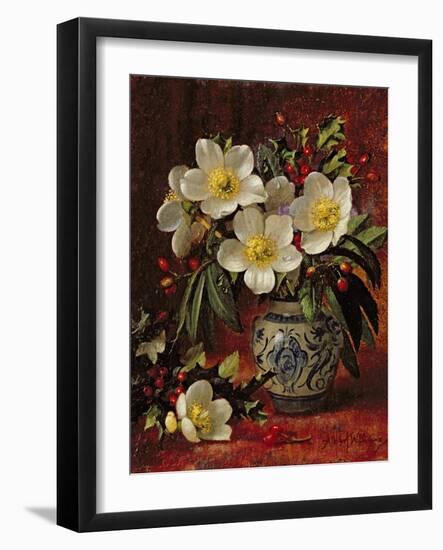 Still Life of Christmas Roses and Holly-Albert Williams-Framed Giclee Print