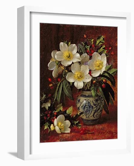 Still Life of Christmas Roses and Holly-Albert Williams-Framed Giclee Print