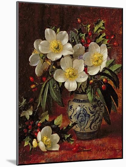 Still Life of Christmas Roses and Holly-Albert Williams-Mounted Giclee Print