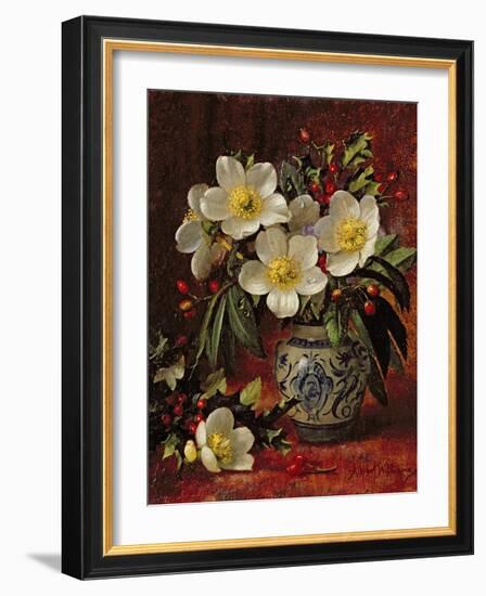 Still Life of Christmas Roses and Holly-Albert Williams-Framed Giclee Print