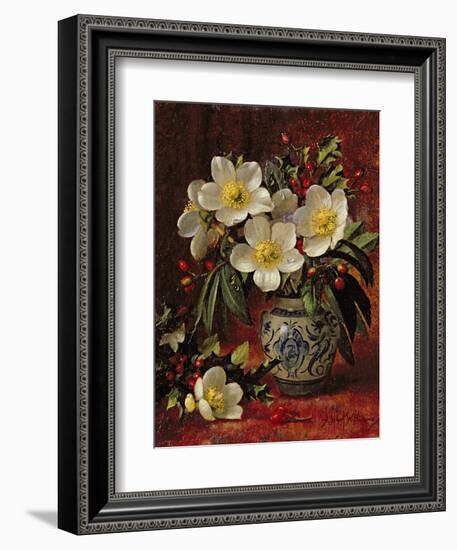 Still Life of Christmas Roses and Holly-Albert Williams-Framed Giclee Print