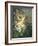 Still Life of Daisies and Poppies-Pierre Gontier-Framed Giclee Print