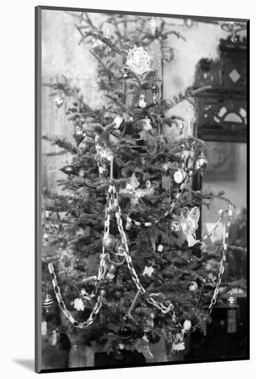 Still Life of Early 20Th Century Christmas Tree, Ca. 1910.-Kirn Vintage Stock-Mounted Photographic Print