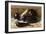 Still Life of Eggplant-null-Framed Giclee Print