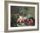 Still Life of Figs, Peaches and Rapberries-Carl Balsgaard-Framed Giclee Print