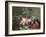 Still Life of Figs, Peaches and Rapberries-Carl Balsgaard-Framed Giclee Print