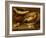 Still Life of Fish and Lemons-Clara Peeters-Framed Giclee Print