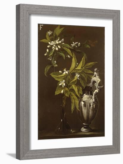 Still Life of Flowers and a Vase-Andrea Belvedere-Framed Giclee Print