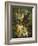 Still Life of Flowers and Fruit-Jan van Os-Framed Giclee Print