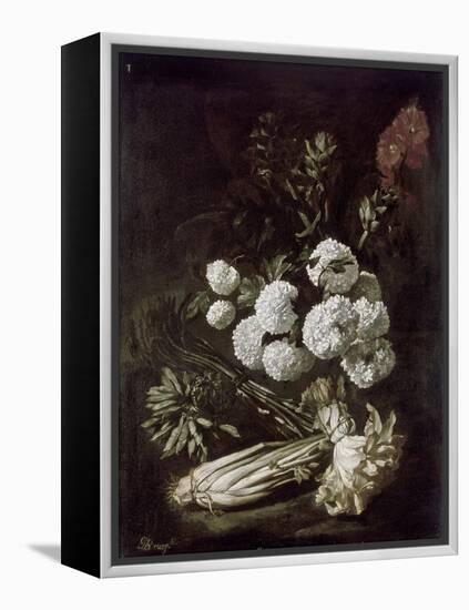 Still Life of Flowers and Vegetables, 17th Century-Giovanni-Battista Ruoppolo-Framed Premier Image Canvas