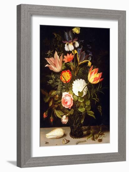 Still Life of Flowers in a Roemer with Two Shells (Oil on Panel)-Balthasar van der Ast-Framed Giclee Print