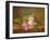 Still Life of Flowers (Oil on Canvas)-Johan Laurents Jensen-Framed Giclee Print